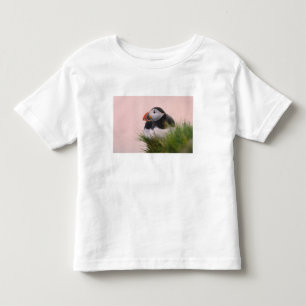 Atlantic Puffin (Fratercula arctica) Toddler T-Shirt