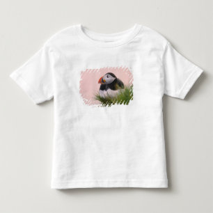 Atlantic Puffin (Fratercula arctica) Toddler T-Shirt
