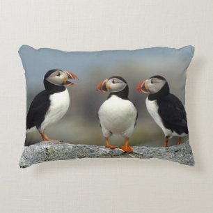 Atlantic Puffin Group Decorative Cushion
