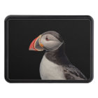 Atlantic Puffin in Machias, Maine