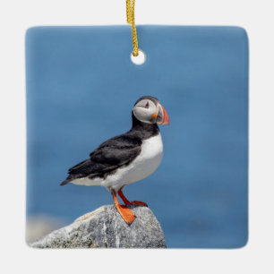 Atlantic Puffin in Machias, Maine Ceramic Ornament