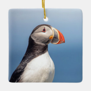 Atlantic Puffin in Machias, Maine Ceramic Ornament