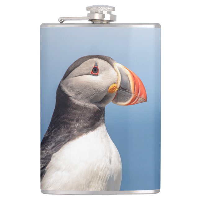 Atlantic Puffin in Machias, Maine Hip Flask (Front)