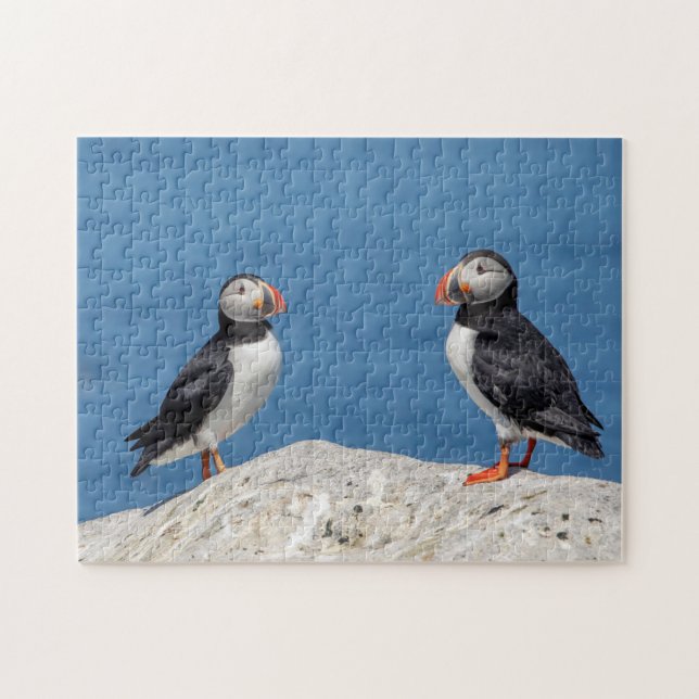 Atlantic Puffin in Machias, Maine Jigsaw Puzzle (Horizontal)