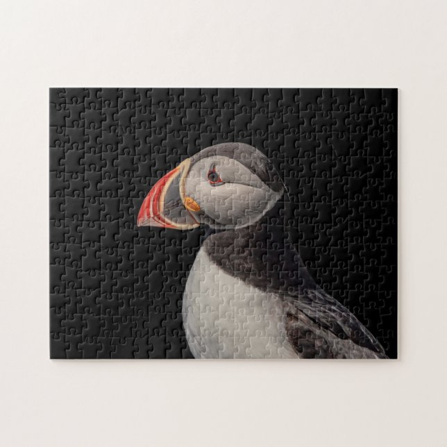Atlantic Puffin in Machias, Maine Jigsaw Puzzle (Horizontal)