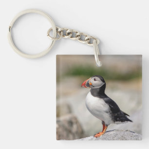 Atlantic Puffin in Machias, Maine Key Ring