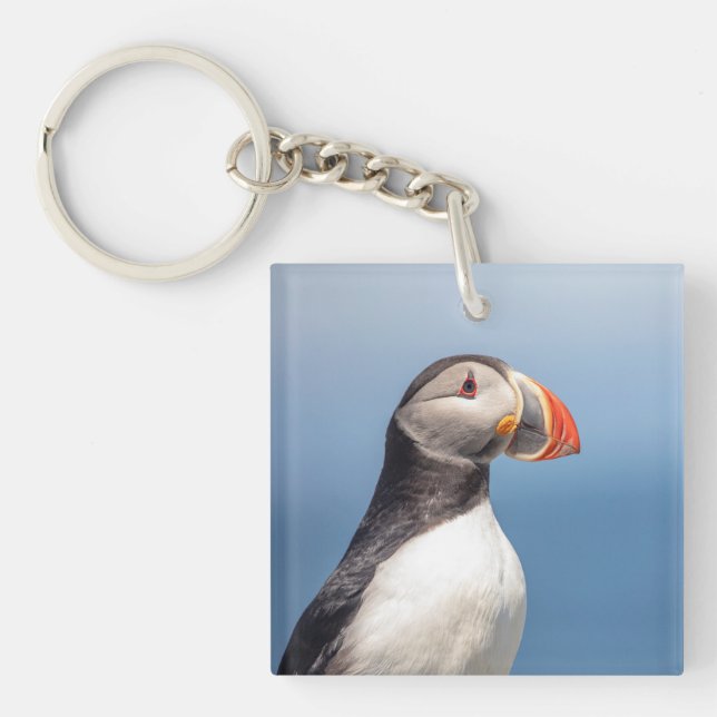 Atlantic Puffin in Machias, Maine Key Ring (Front)
