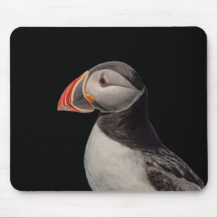 Atlantic Puffin in Machias, Maine Mouse Pad