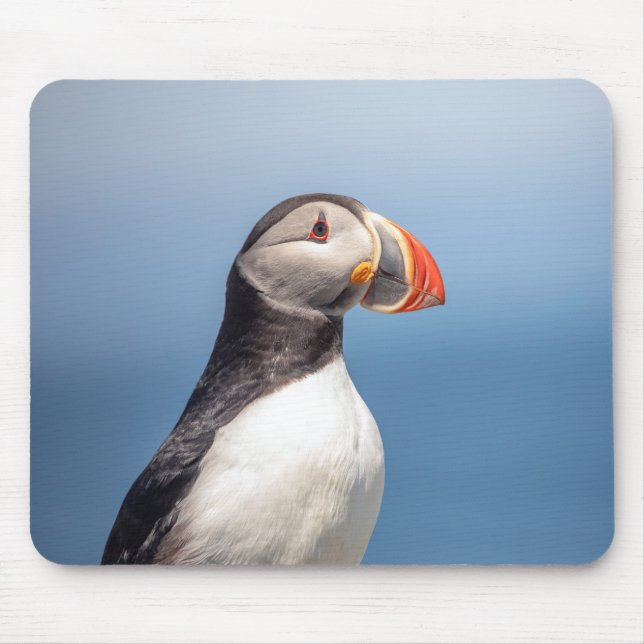 Atlantic Puffin in Machias, Maine Mouse Pad (Front)