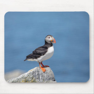 Atlantic Puffin in Machias, Maine Mouse Pad