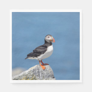 Atlantic Puffin in Machias, Maine Napkin