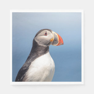 Atlantic Puffin in Machias, Maine Napkin