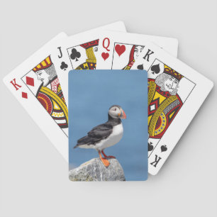 Atlantic Puffin in Machias, Maine Playing Cards