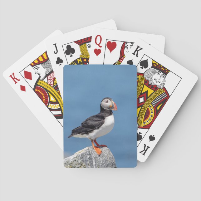 Atlantic Puffin in Machias, Maine Playing Cards (Back)