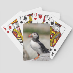 Atlantic Puffin in Machias, Maine Playing Cards