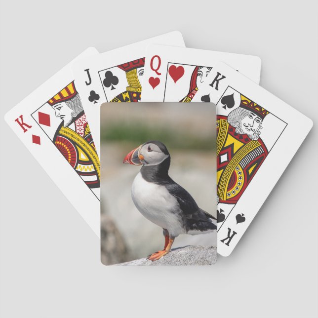 Atlantic Puffin in Machias, Maine Playing Cards (Back)