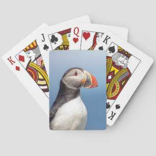 Atlantic Puffin in Machias, Maine Playing Cards