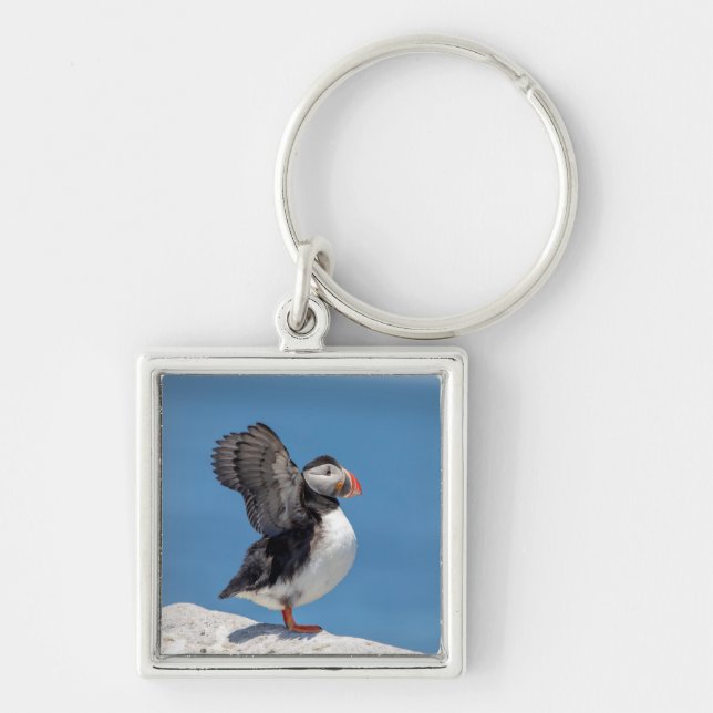 Atlantic Puffin in Machias, ME Key Ring (Front)