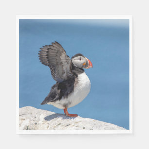 Atlantic Puffin in Machias, ME Napkin