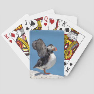 Atlantic Puffin in Machias, ME Playing Cards