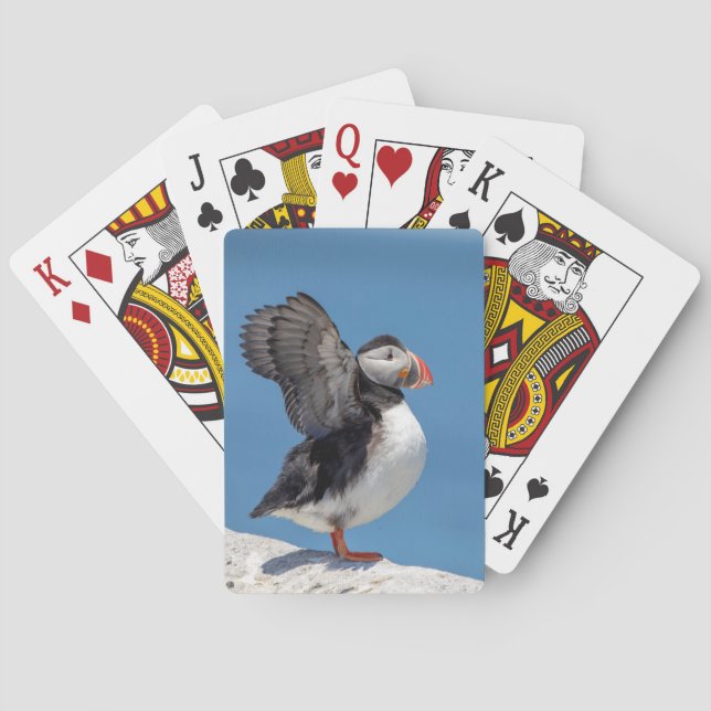 Atlantic Puffin in Machias, ME Playing Cards (Back)