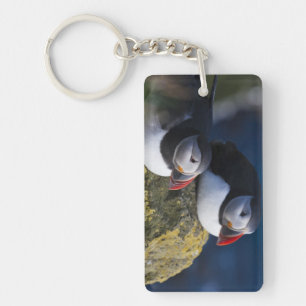 Atlantic Puffin Key Ring