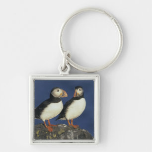 Atlantic Puffin Key Ring