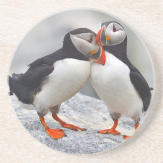 Atlantic Puffin Love Coaster