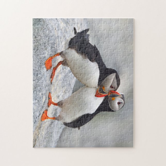 Atlantic Puffin Love Jigsaw Puzzle (Vertical)
