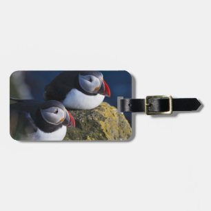 Atlantic Puffin Luggage Tag