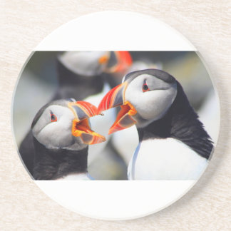 Atlantic Puffin mouths Coaster