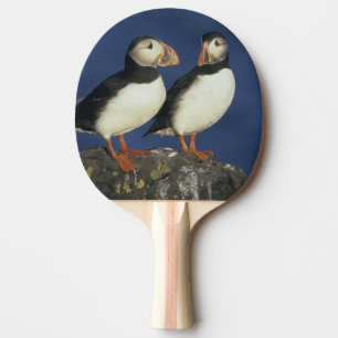 Atlantic Puffin Ping Pong Paddle