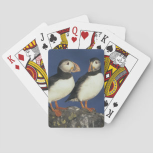 Atlantic Puffin Playing Cards