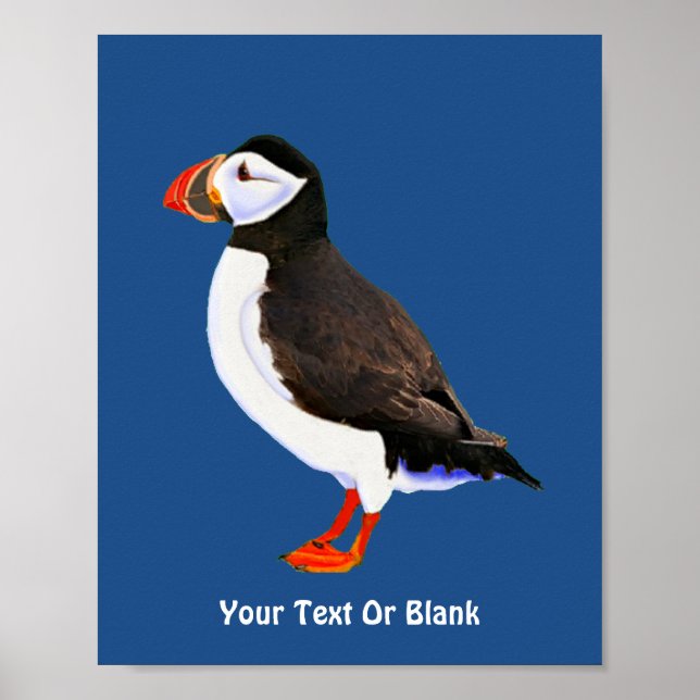 Atlantic Puffin Poster (Front)