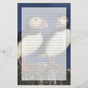 Atlantic Puffin Stationery
