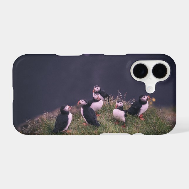 Atlantic Puffins (Back (Horizontal))