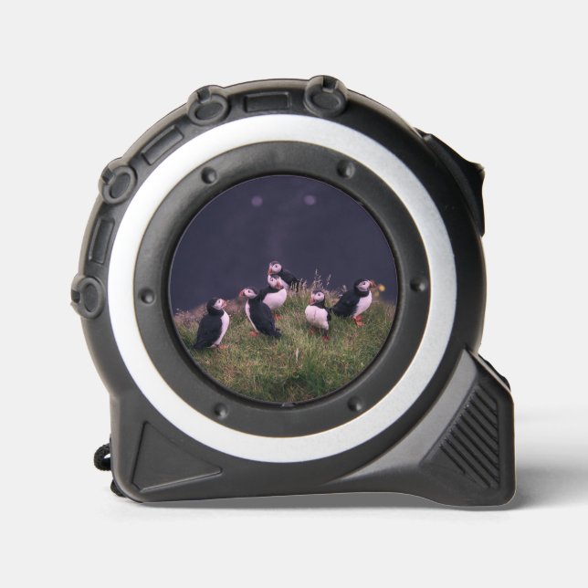 Atlantic Puffins 1 (Front)