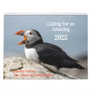 Atlantic Puffins 2025 Calendar