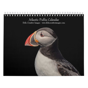 Atlantic Puffins 2026 Calendar