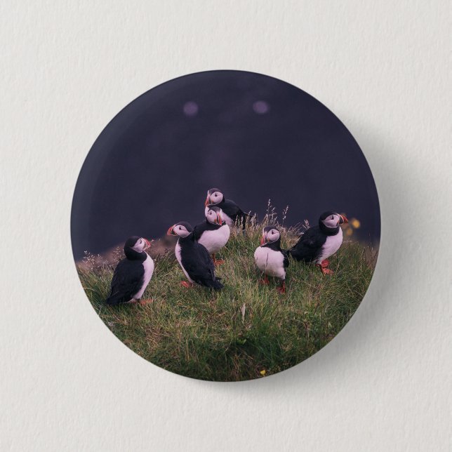 Atlantic Puffins 6 Cm Round Badge (Front)