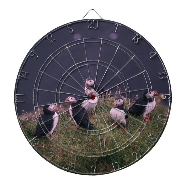 Atlantic Puffins Dartboard (Front)