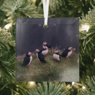 Atlantic Puffins Glass Tree Decoration