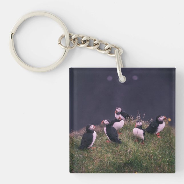 Atlantic Puffins Key Ring (Front)