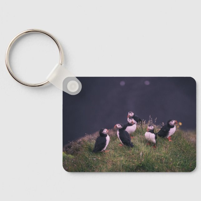 Atlantic Puffins Key Ring (Back)