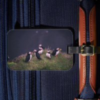 Atlantic Puffins Luggage Tag