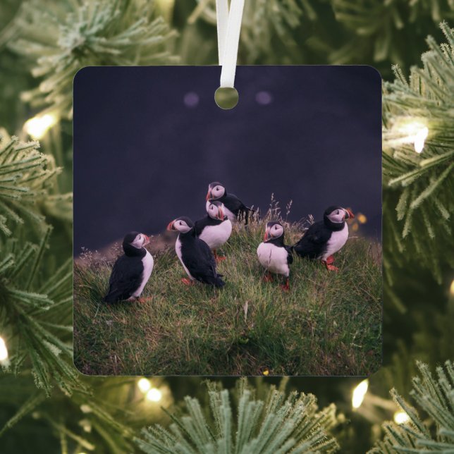 Atlantic Puffins Metal Tree Decoration (Insitu)