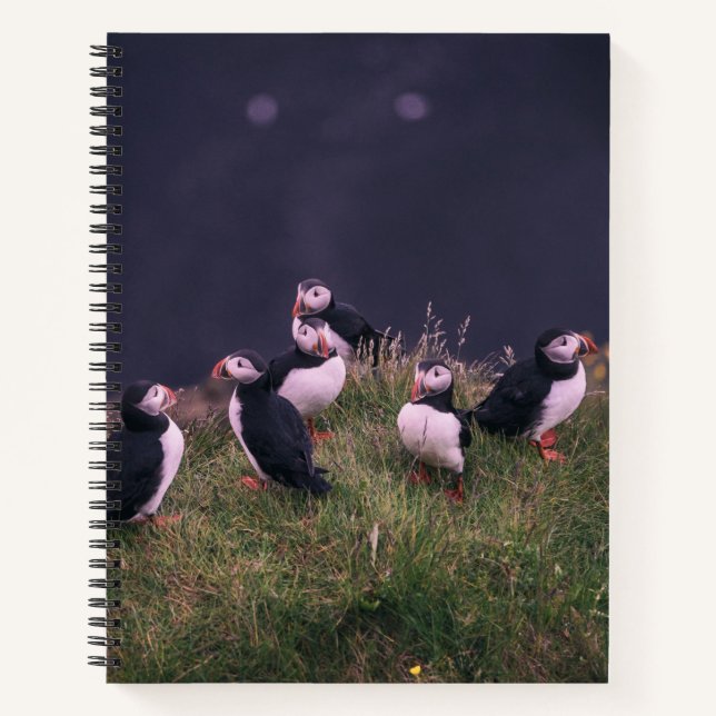 Atlantic Puffins Notebook (Front)