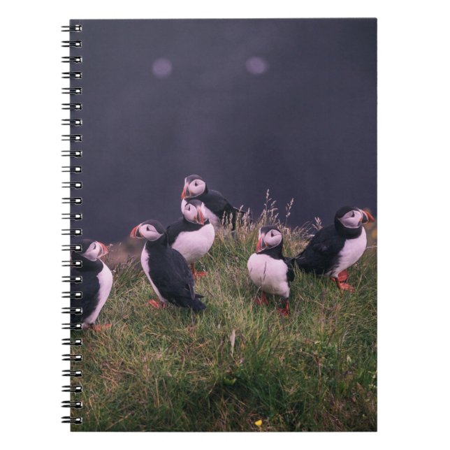 Atlantic Puffins Notebook (Front)