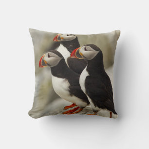 Atlantic Puffins on Machias Seal Island Cushion