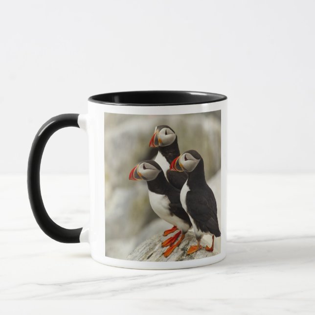 Atlantic Puffins on Machias Seal Island Mug (Left)